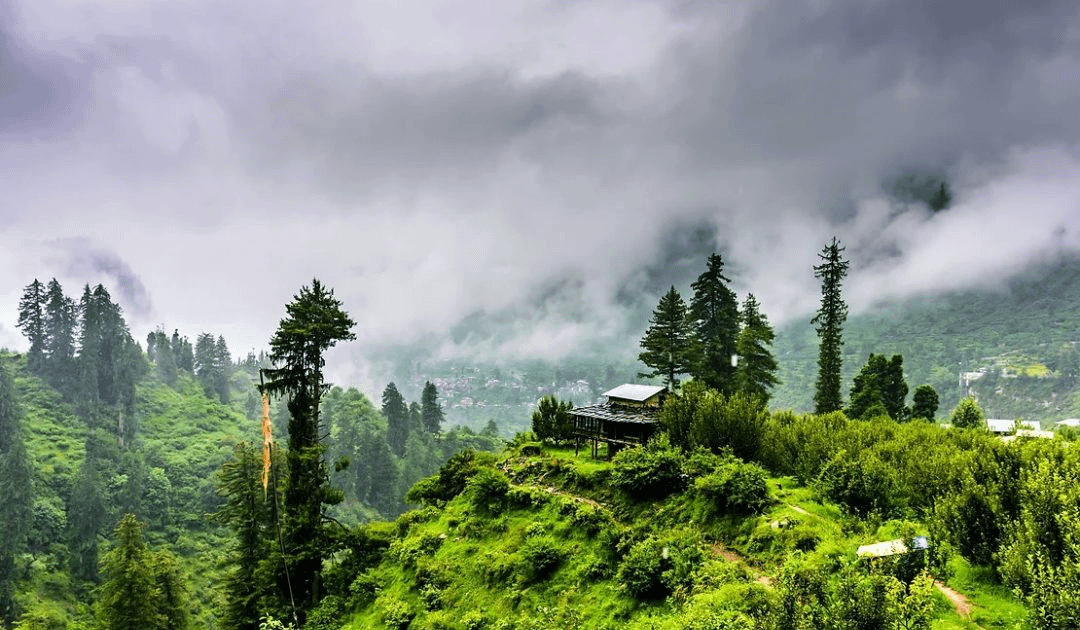 Best Time to visit Kasauli
